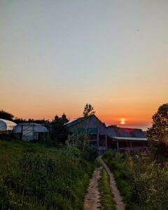 Sunset on a farm track