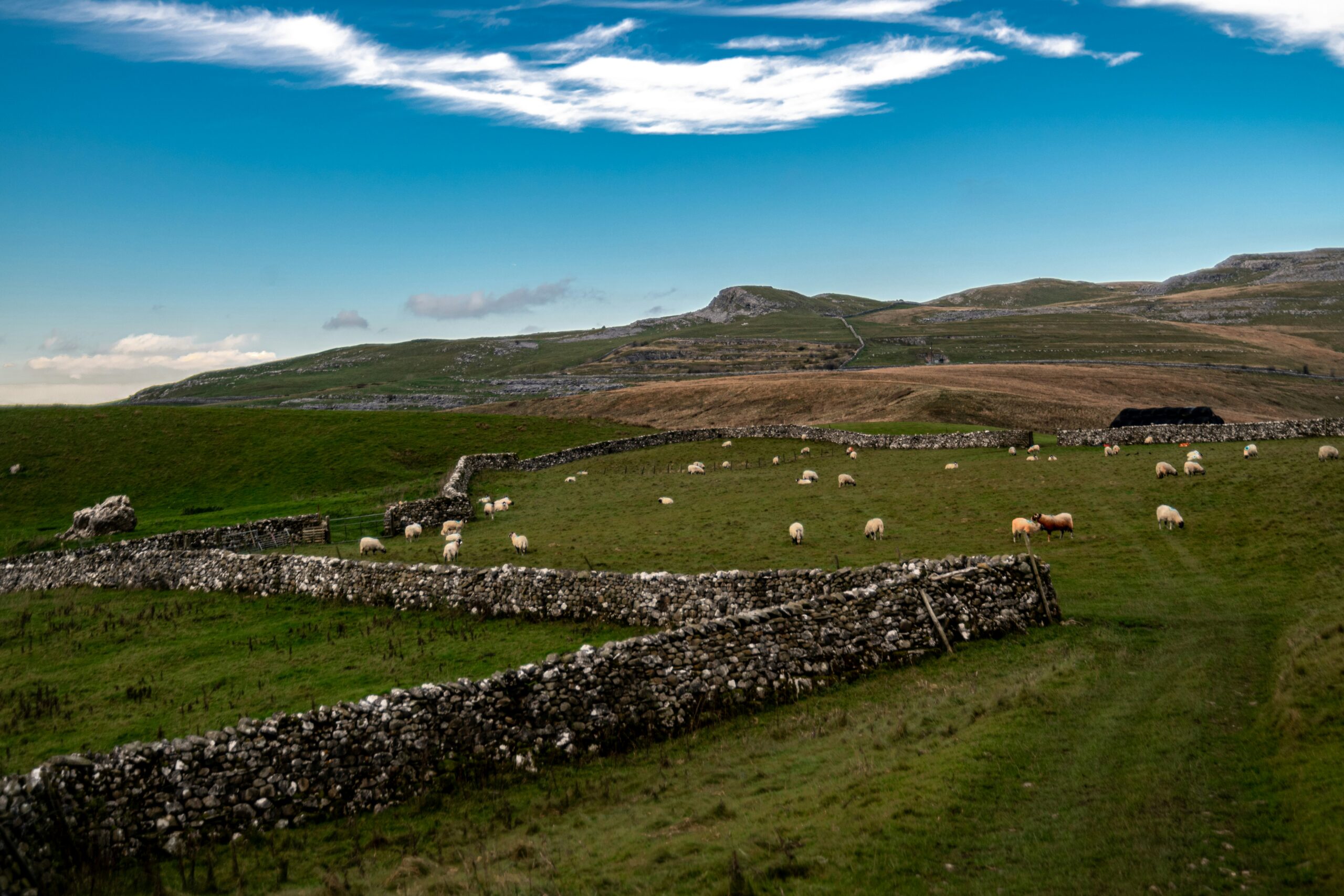 ORFC26┃The Rich Web of Rural Skills